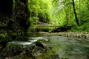 Mehr über den Artikel erfahren Genießerpfad: 3-Schluchten-Wanderung