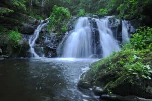 Mehr über den Artikel erfahren Die Rötenbachschlucht: Ein verborgenes Juwel im Hochschwarzwald entdecken