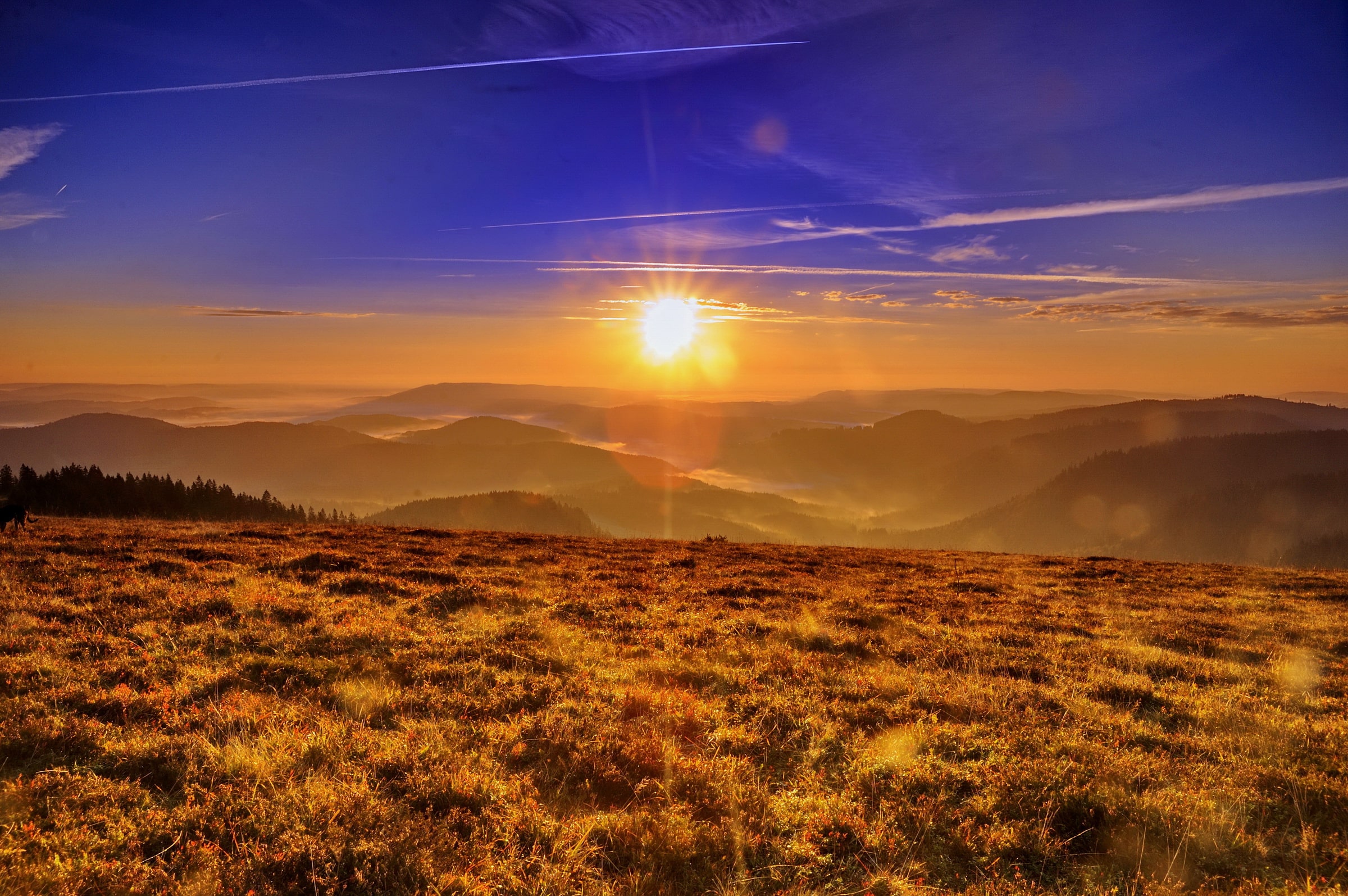 Du betrachtest gerade Goldener Herbst im Hochschwarzwald: Die 3 schönsten Herbstausflüge rund um Löffingen